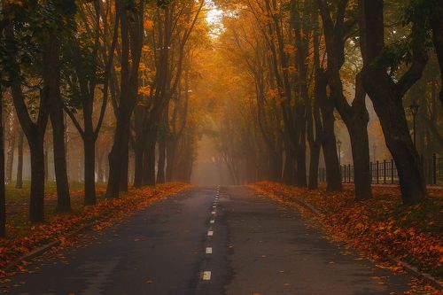 Нарвская осень