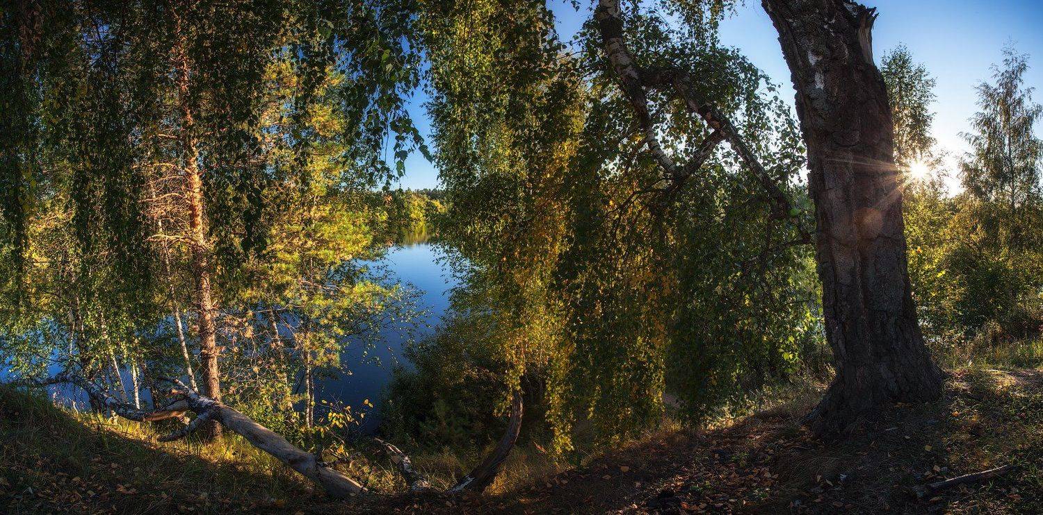 , Андрей Леонидович