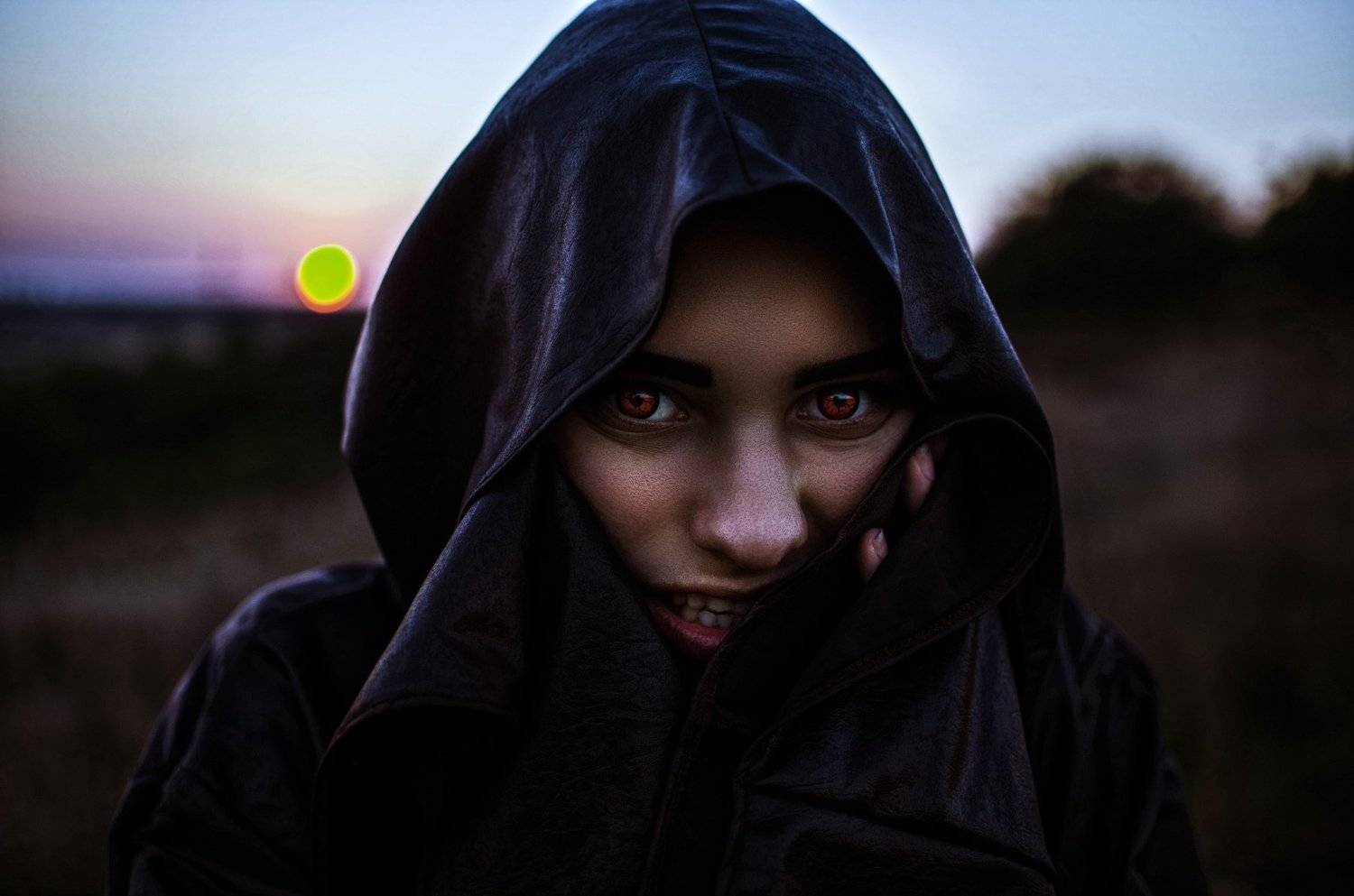 Ladyhawke. Автор: Виталий Шевченко , Виталий Шевченко