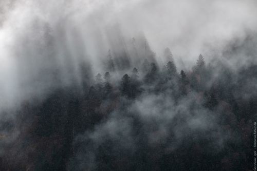 Туманно-солнечно-дождливые горы