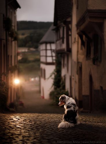 На улице вечернего города