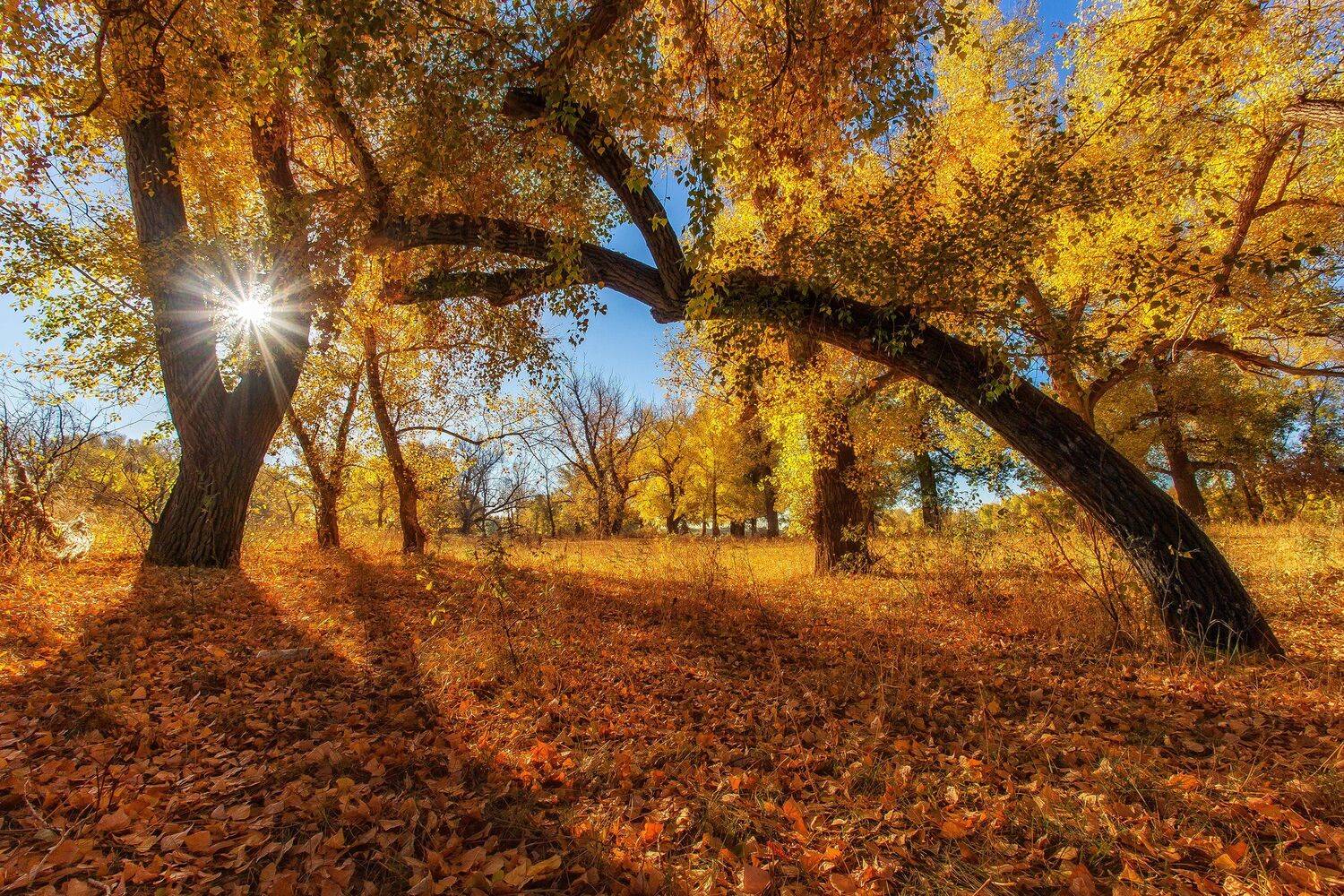 , Павел Сагайдак