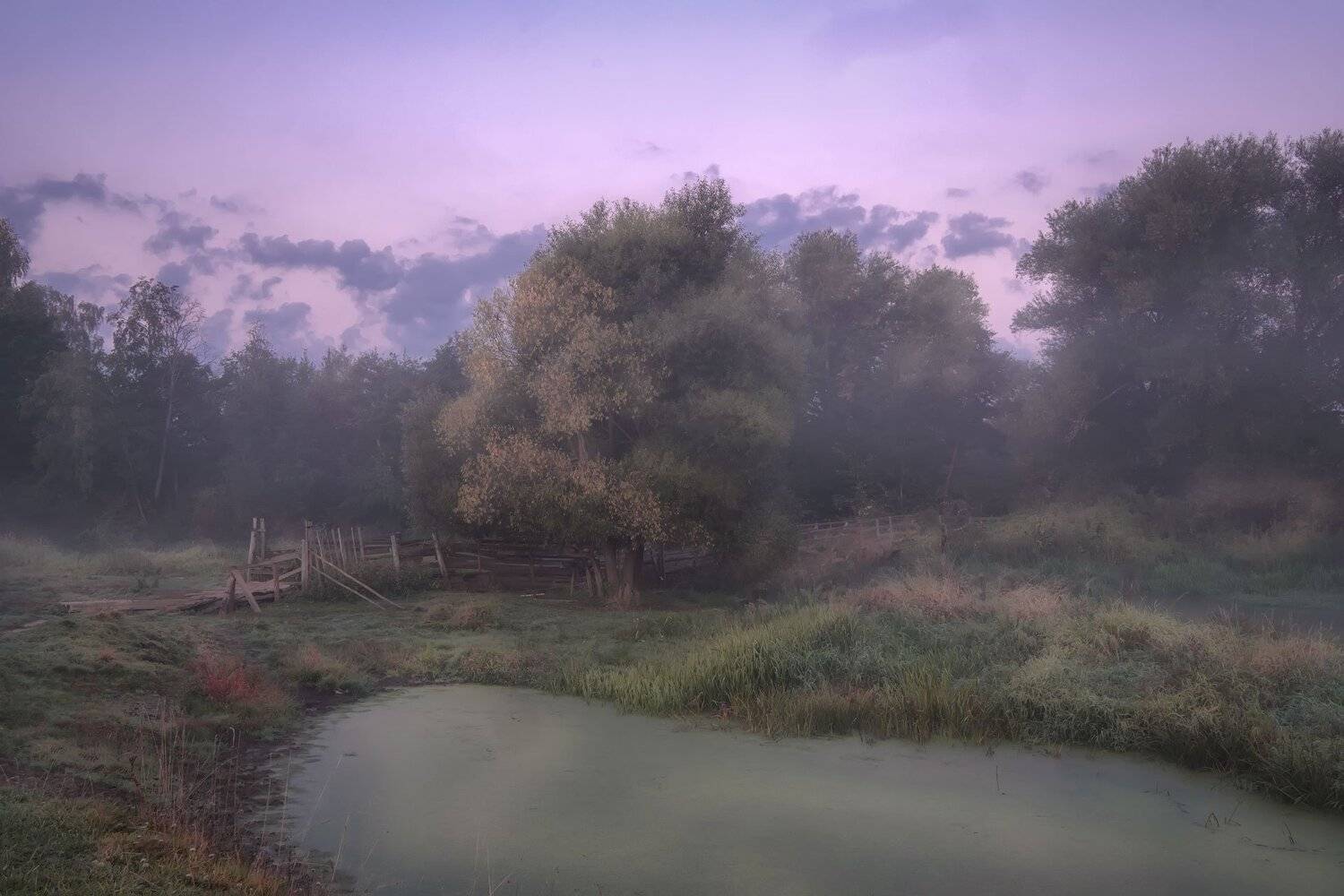 филипповское, пейзаж, туман, мост, мостик, деревянный, утро, рассвет, шерна, река, Андрей Чиж