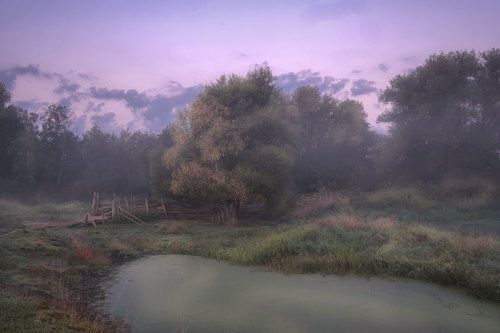 Мостик в тумане