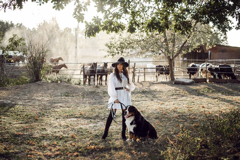 фото превью