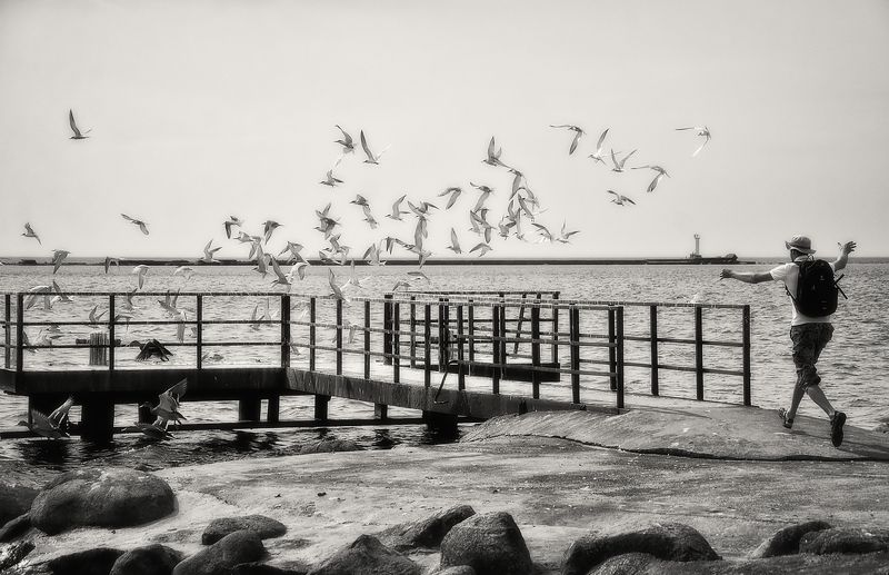 Если птице отрезать руки... фото превью