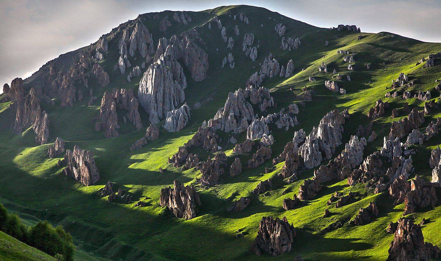 горы,лето,пейзаж, Marat Magov