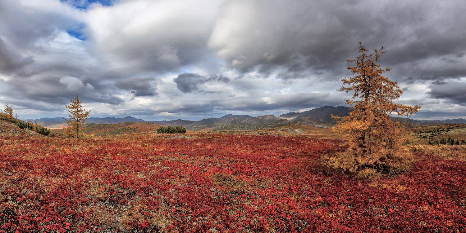 , Николай Андреев