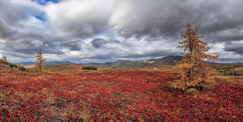 Осень. фото превью