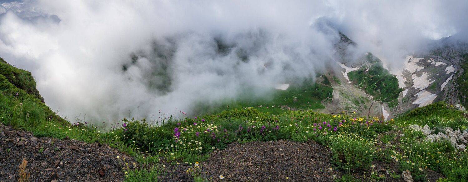 , Игорь Мелекесцев