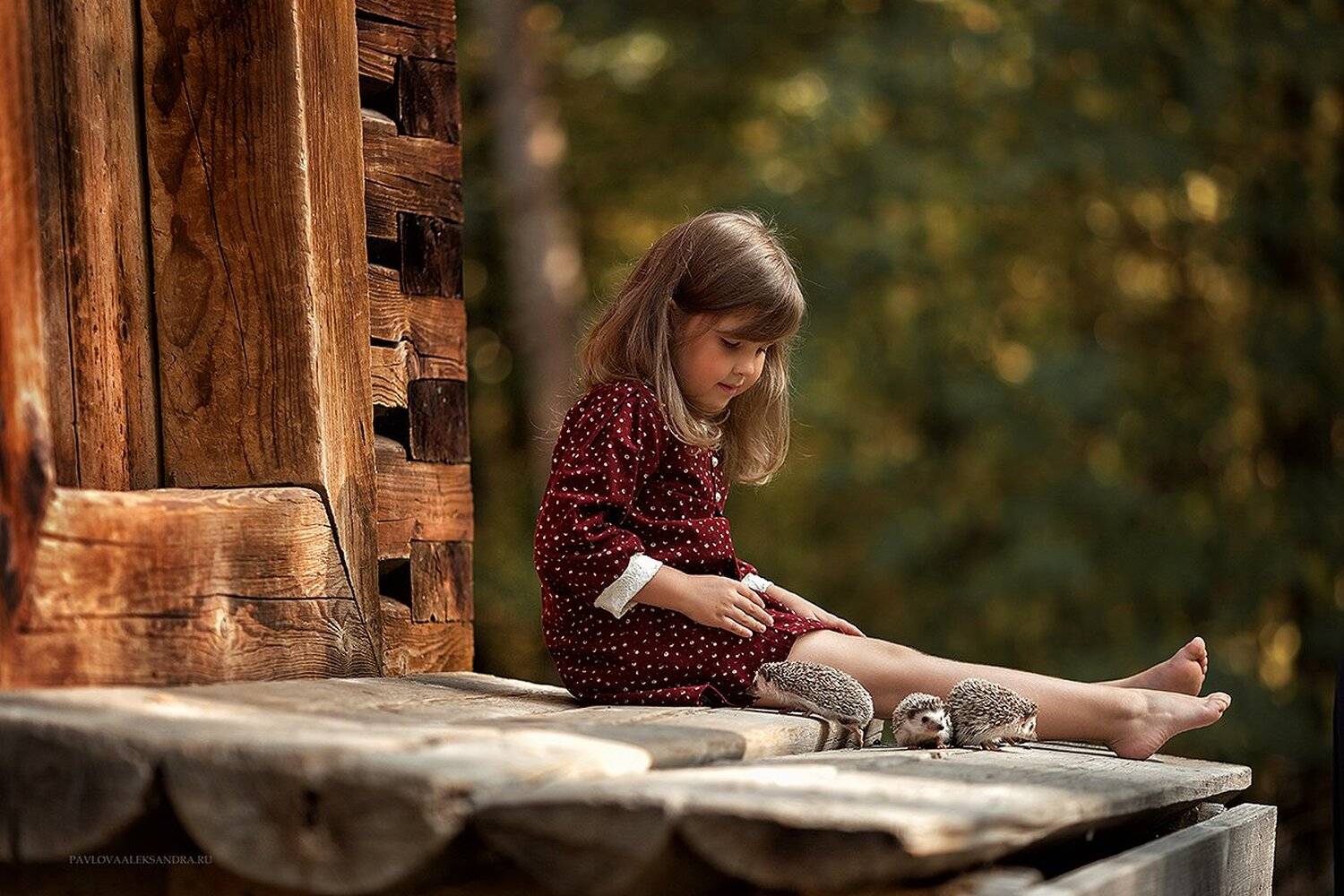 , александра