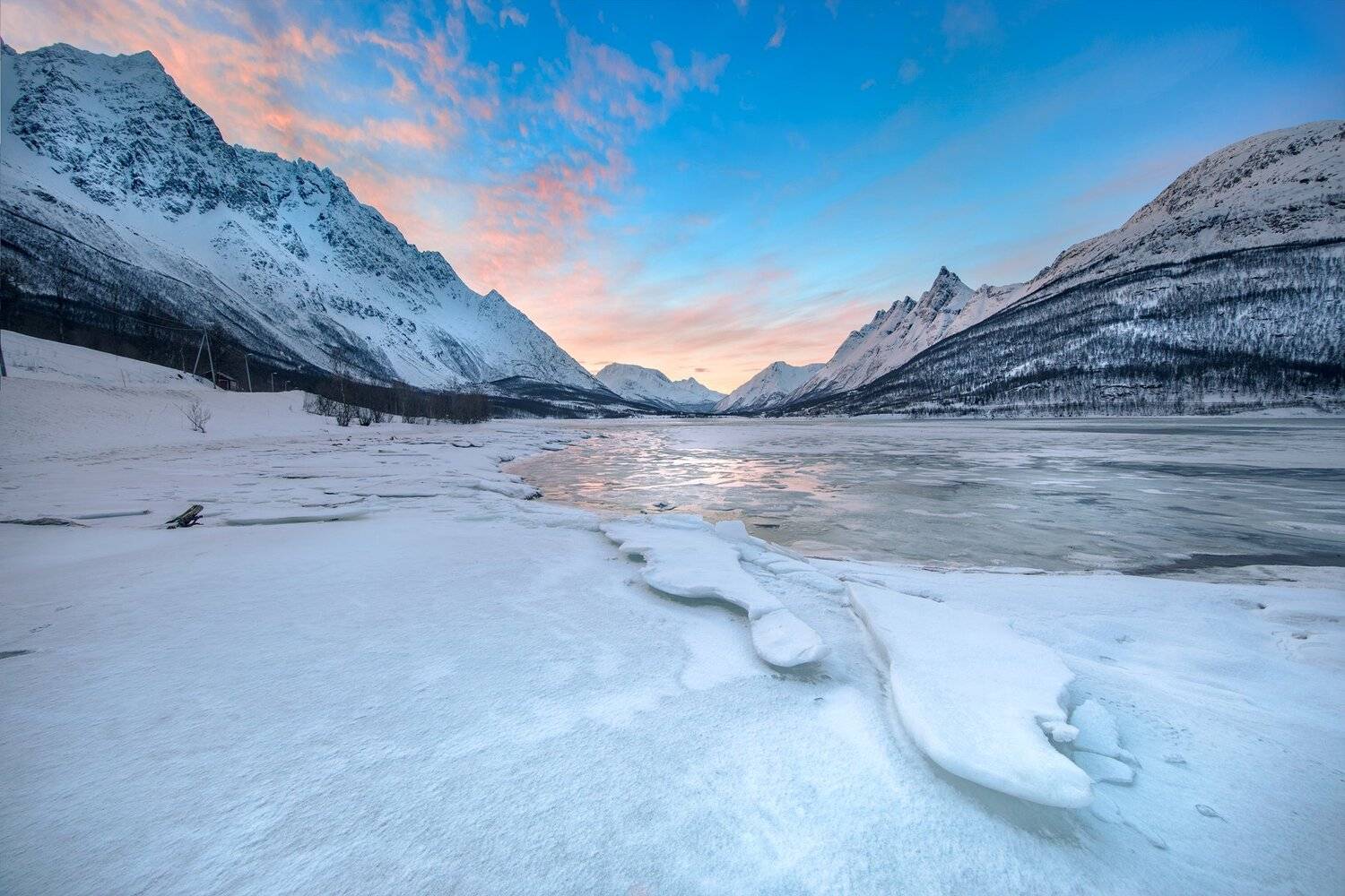 , Тодор Божков