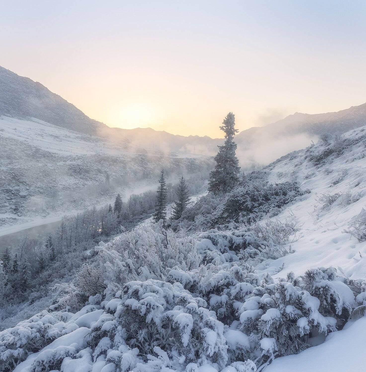 , Лещёнок Александр