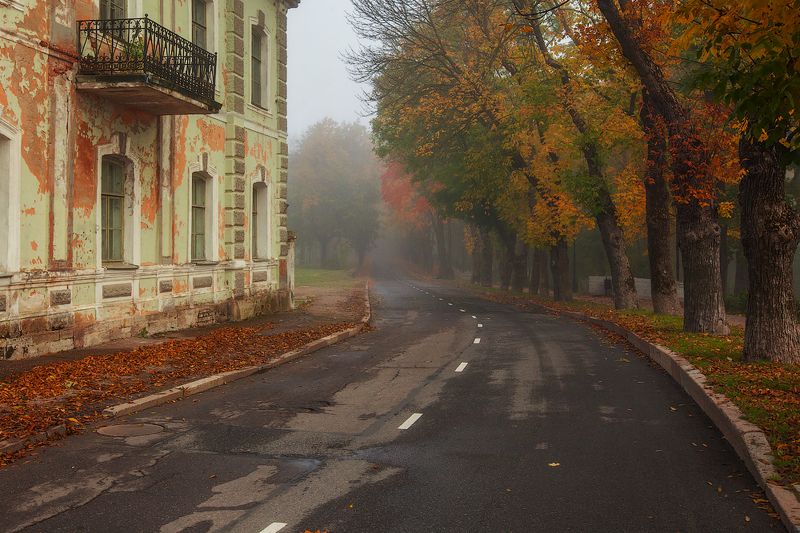 october, narva, autumn, kljuchenkow October фото превью