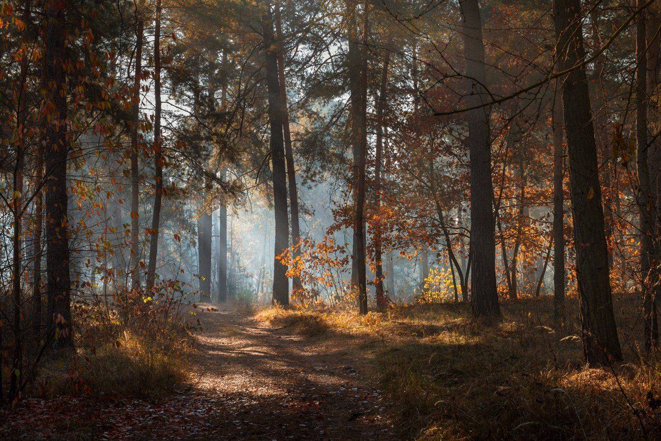 , Галанзовская Оксана