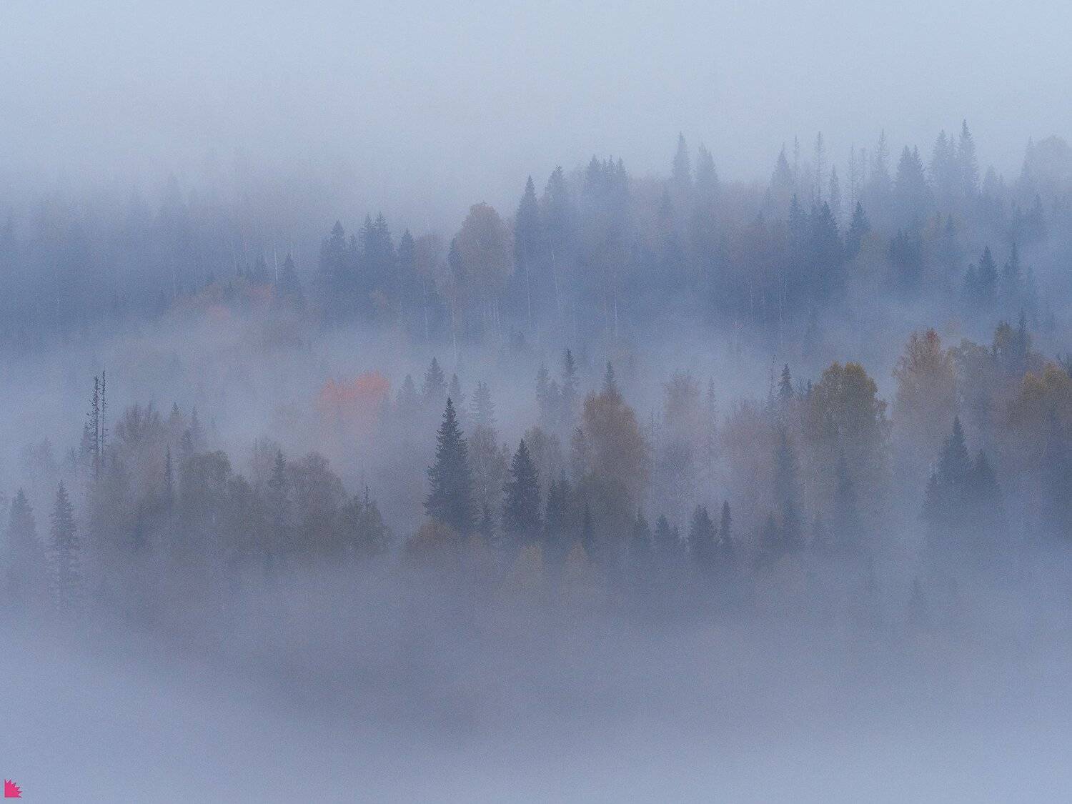 , Осипов Ёжъ Александр