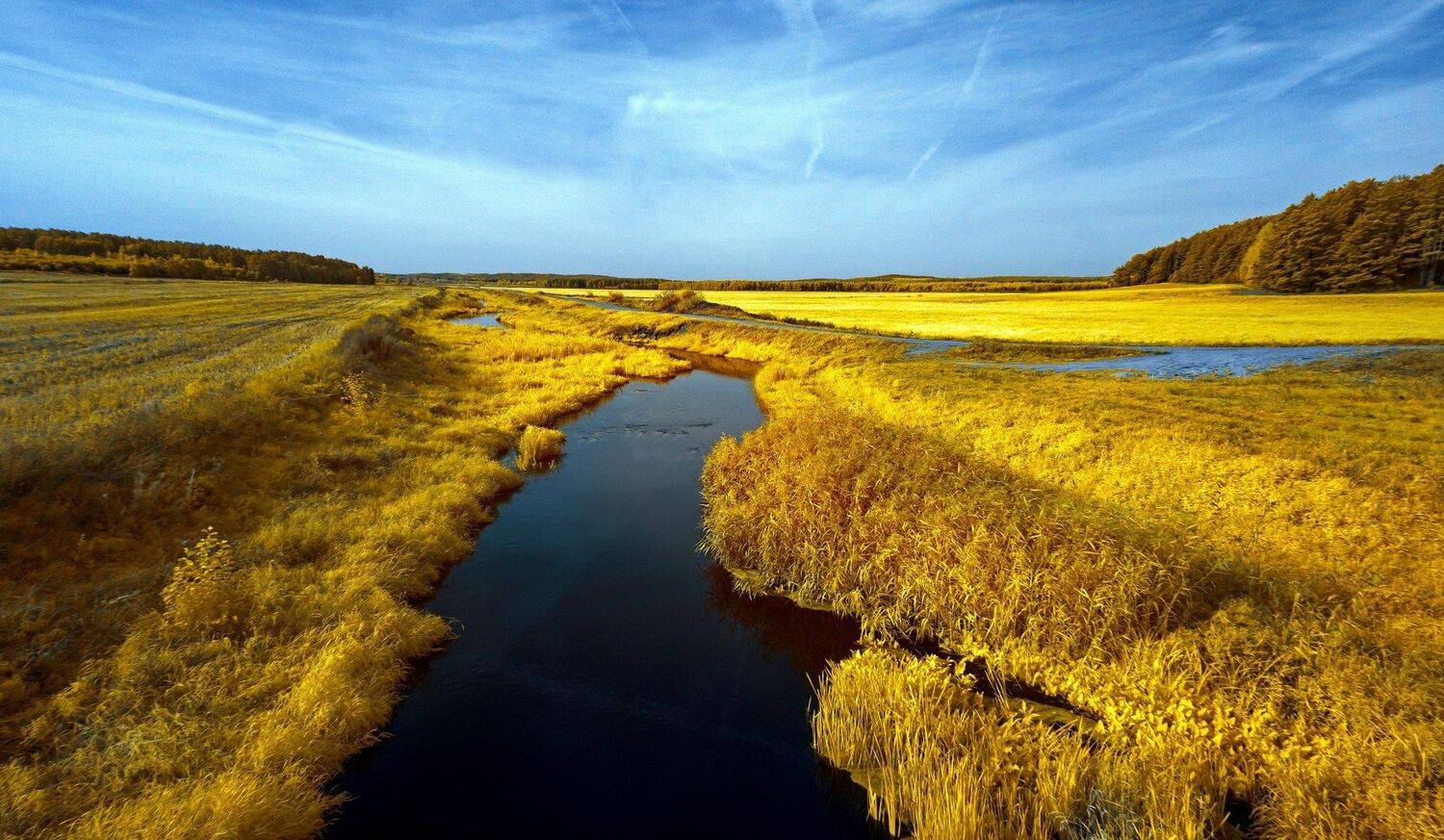 infrared,ик-фото,инфракрасное фото,инфракрасная фотография,пейзаж,природа,беларусь,осень, Sixten ( Сергей )