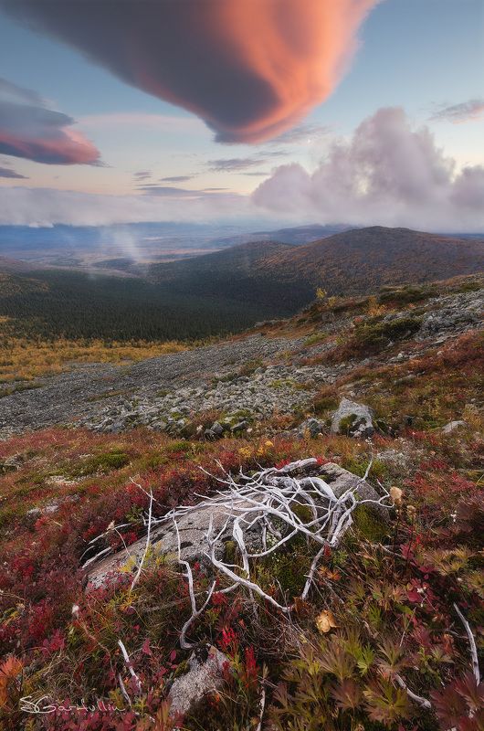 Северный Урал, Урал, Конжак, Свердловская область Кости фото превью