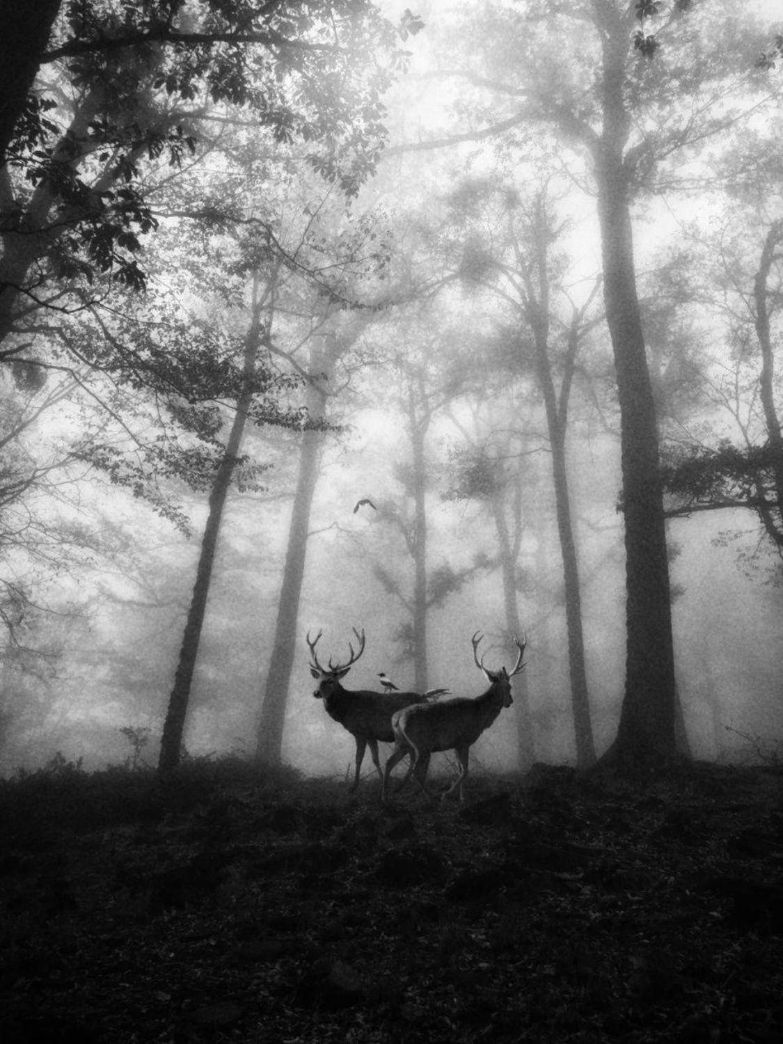 #ps_starry #lr_forgood #bnw_demand #hossein_mehrzad #instagram #حسين_مهرزاد #gallery_legit #myfeatureshoot #friendsinperson, Hossein Mehrzad