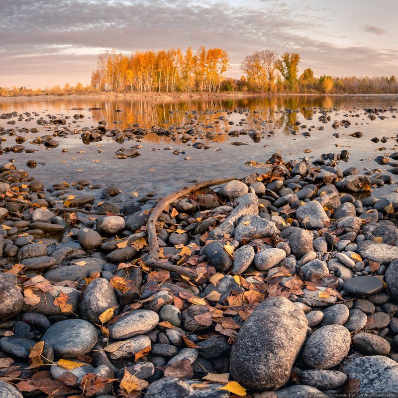 #landscape #light #yellow #autumn #altai #russia #siberia #river #nikon #nikond750 #katun #moon #gold #night #moonlight #пейзаж #свет #желтый #осень #алтай #россия #река #никон #riverside #берегреки Осень на Нижней Катуни фото превью