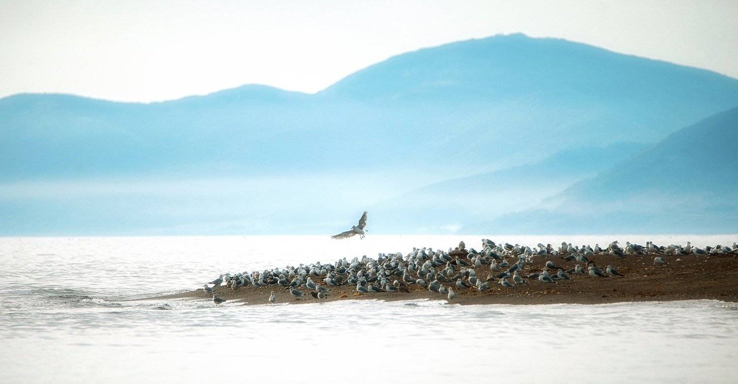 , Рашид Усманов