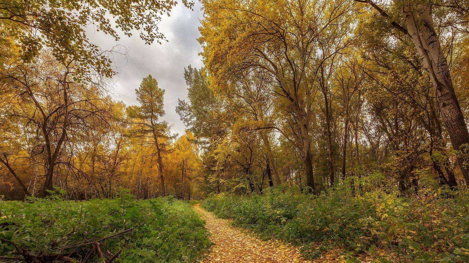 , Иващин Александр