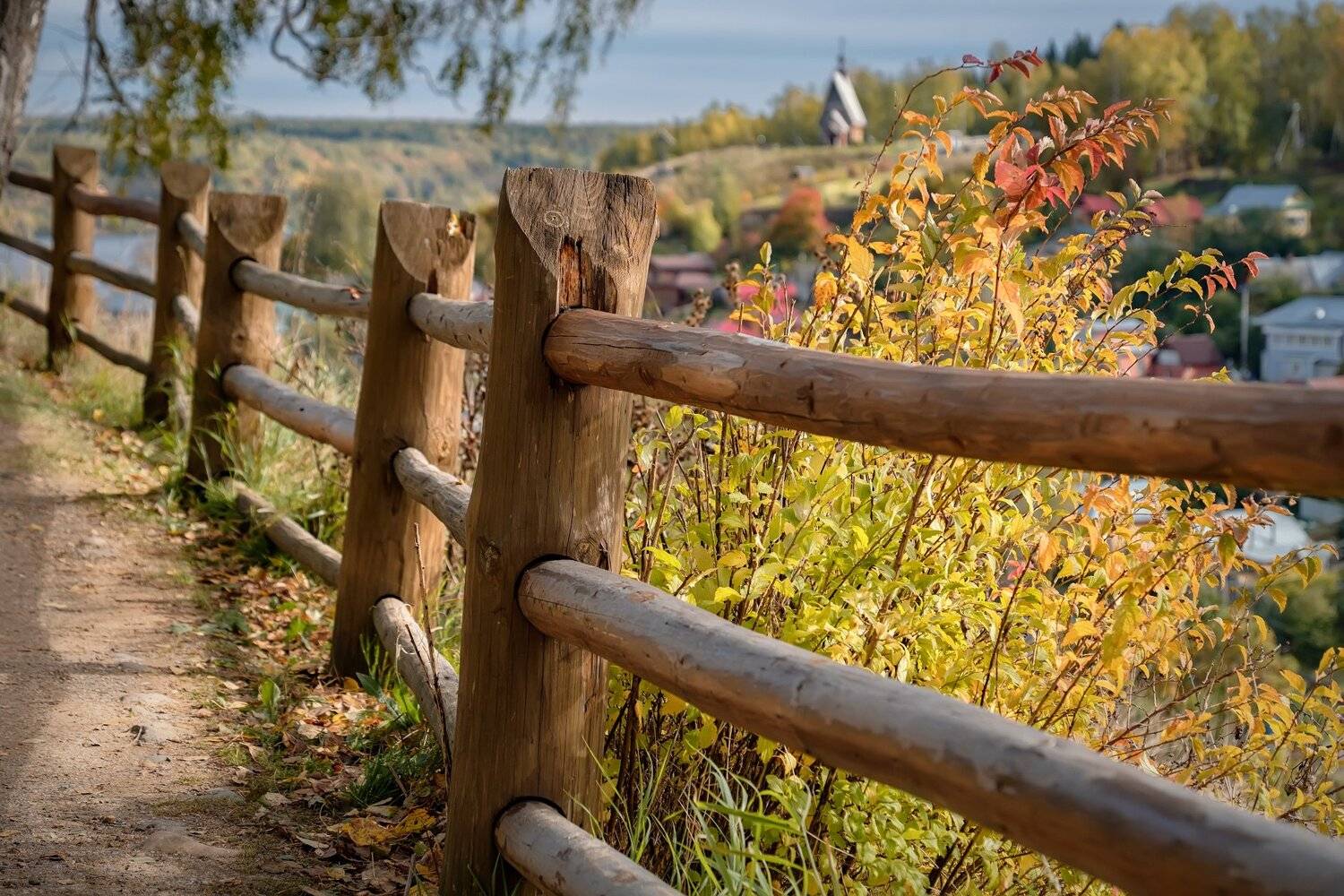 плес, осень, золото, листопад, волга, город, левитан, краски, сентябрь, Андрей Чиж