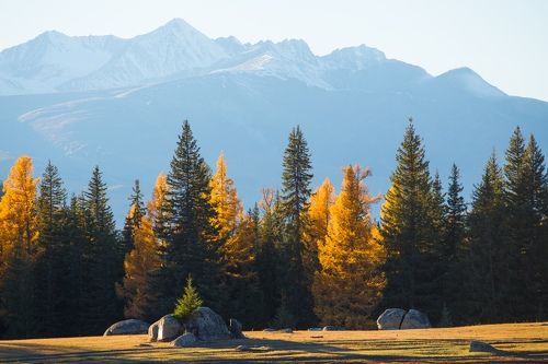 Неизведанный Алтай. Долина Аргута