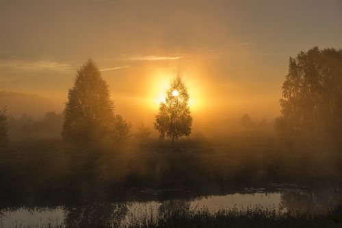 золотой рассвет