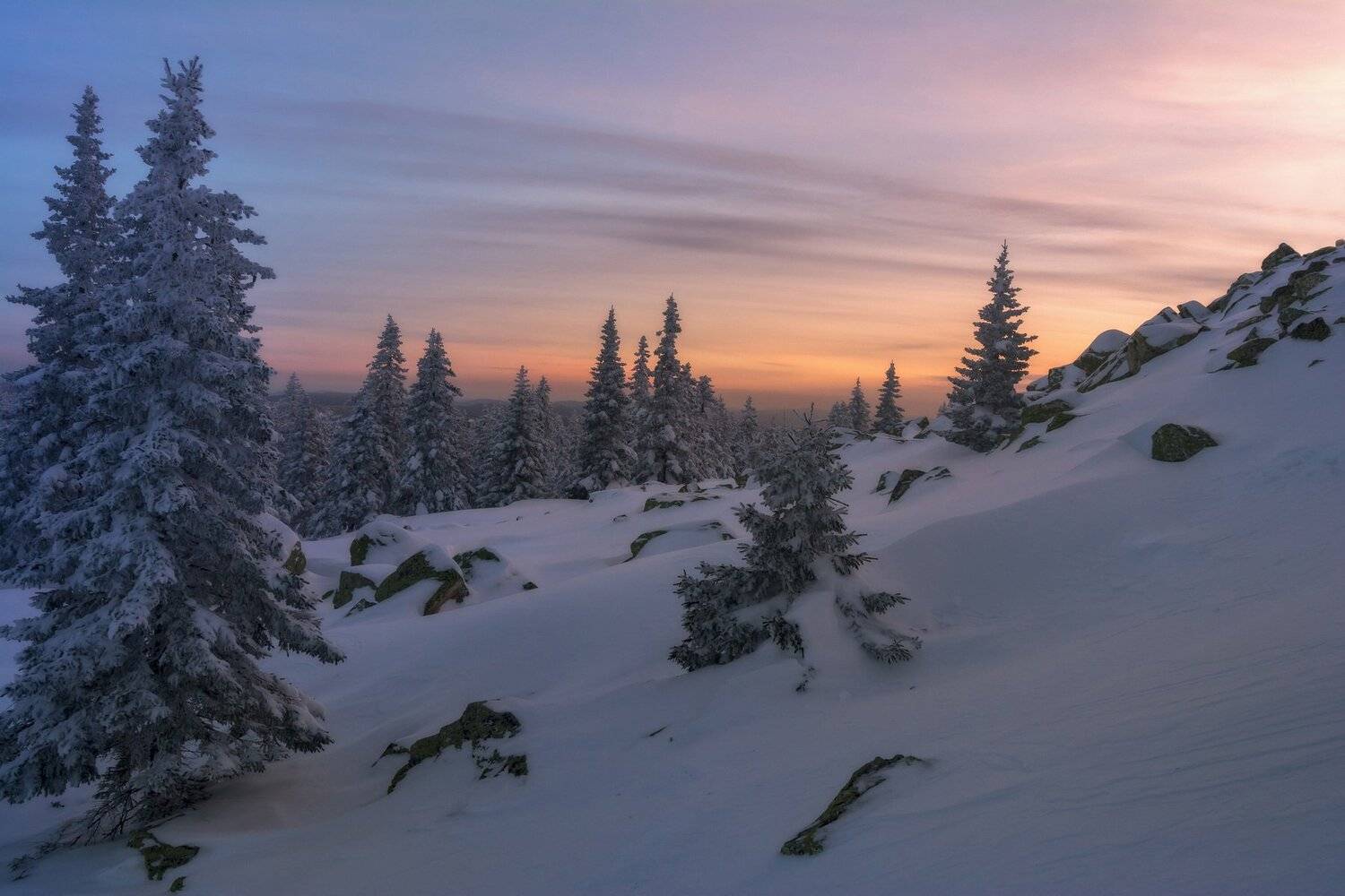 , Андрей Шарапов