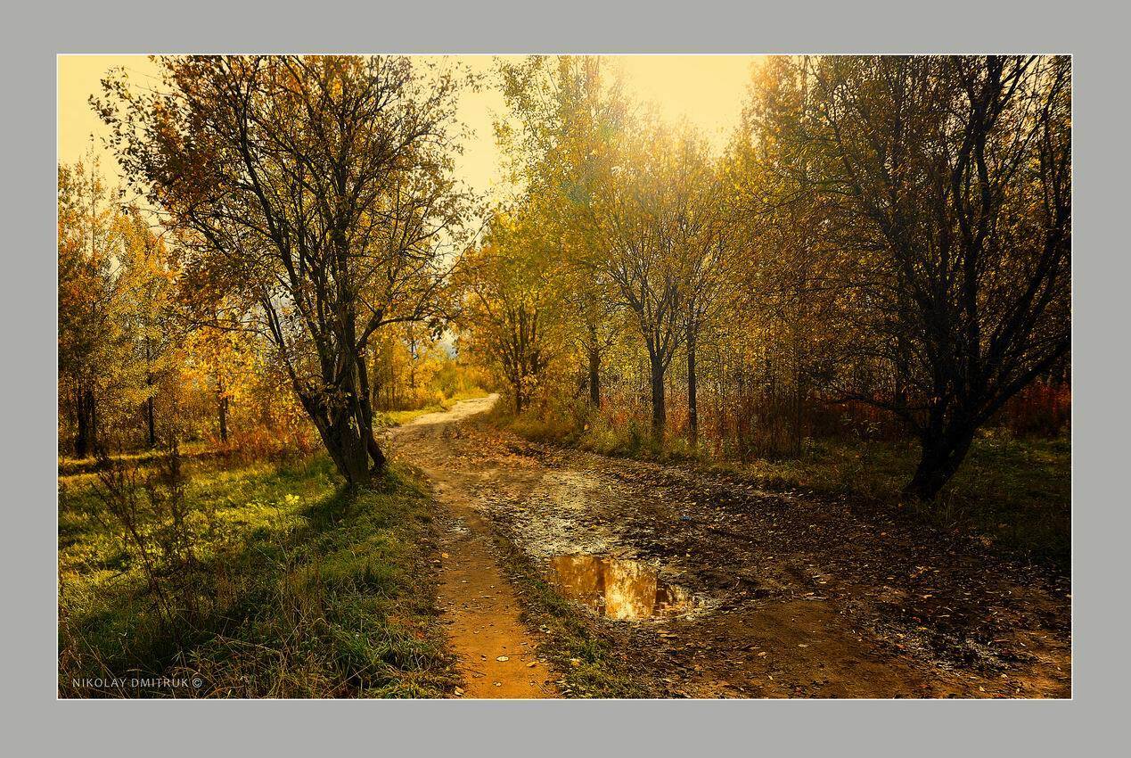 пейзаж, николай дмитрук