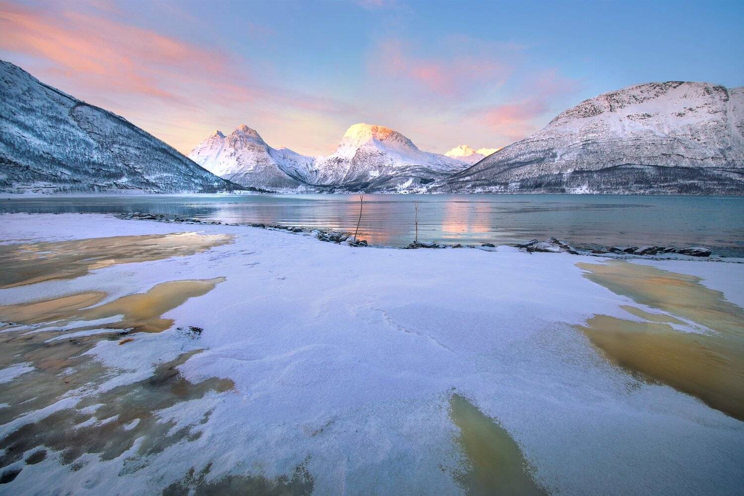 , Тодор Божков