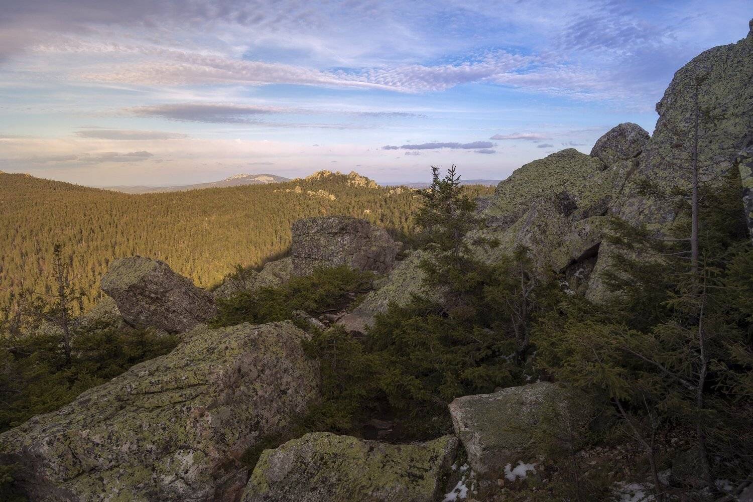 , Андрей Шарапов