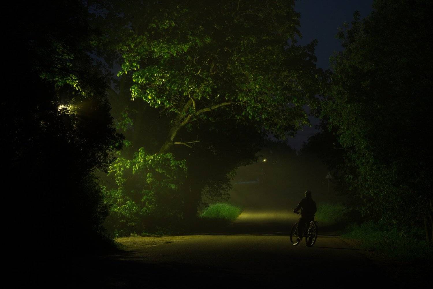 ночь туман россия велосипед, Евгений Озеров