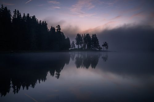 Quiet dawns / Широка поляна