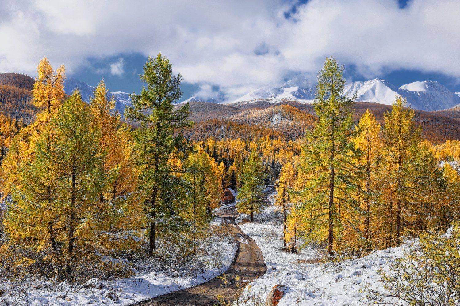 сибирь, алтай, горный алтай, осень, снег, горы, Галина Хвостенко