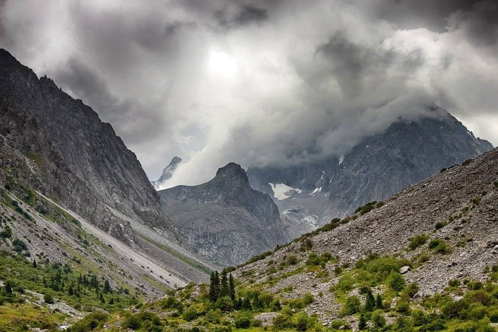 , Элина Магалимова