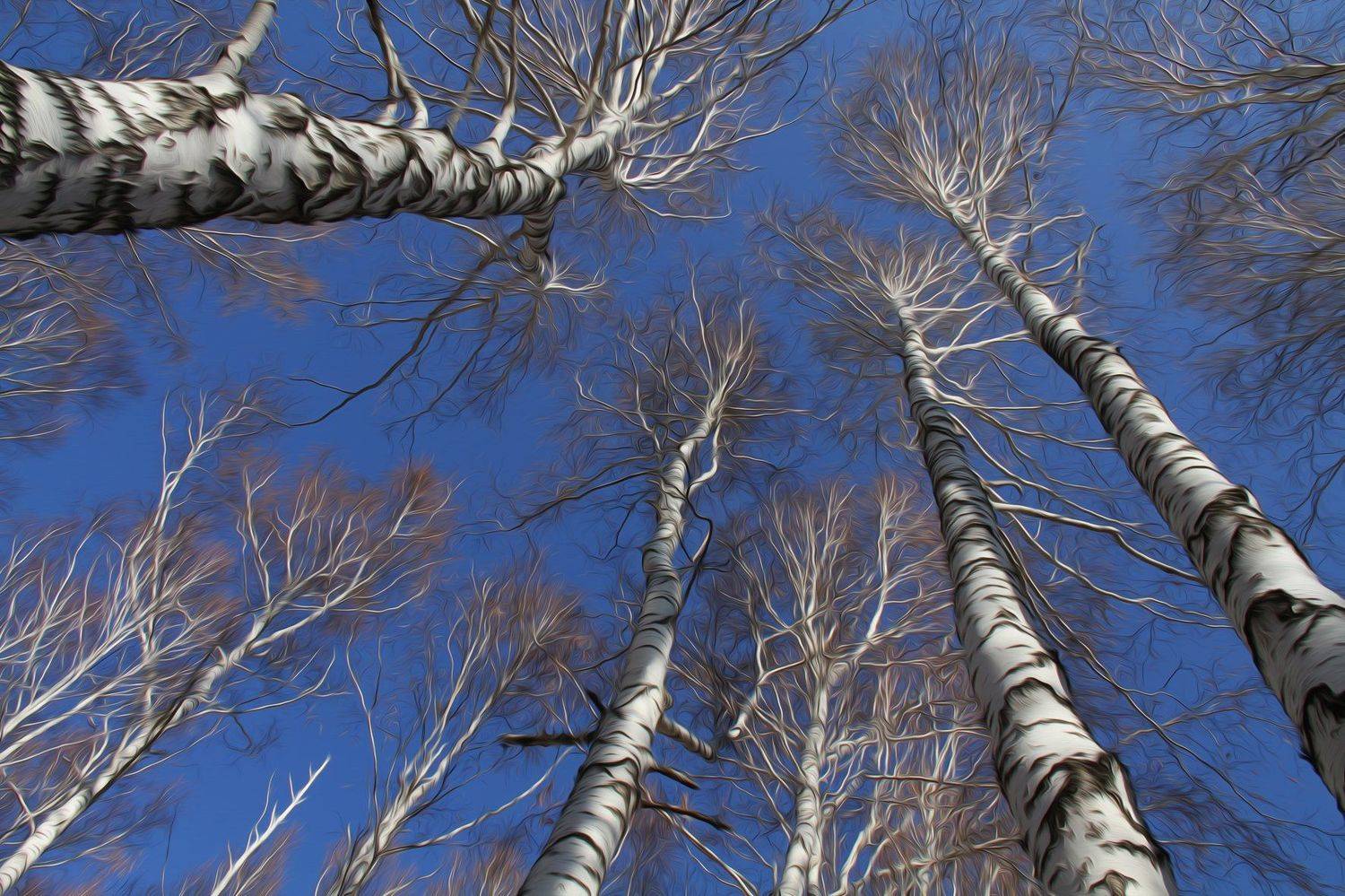 , Гагик Мхитарян