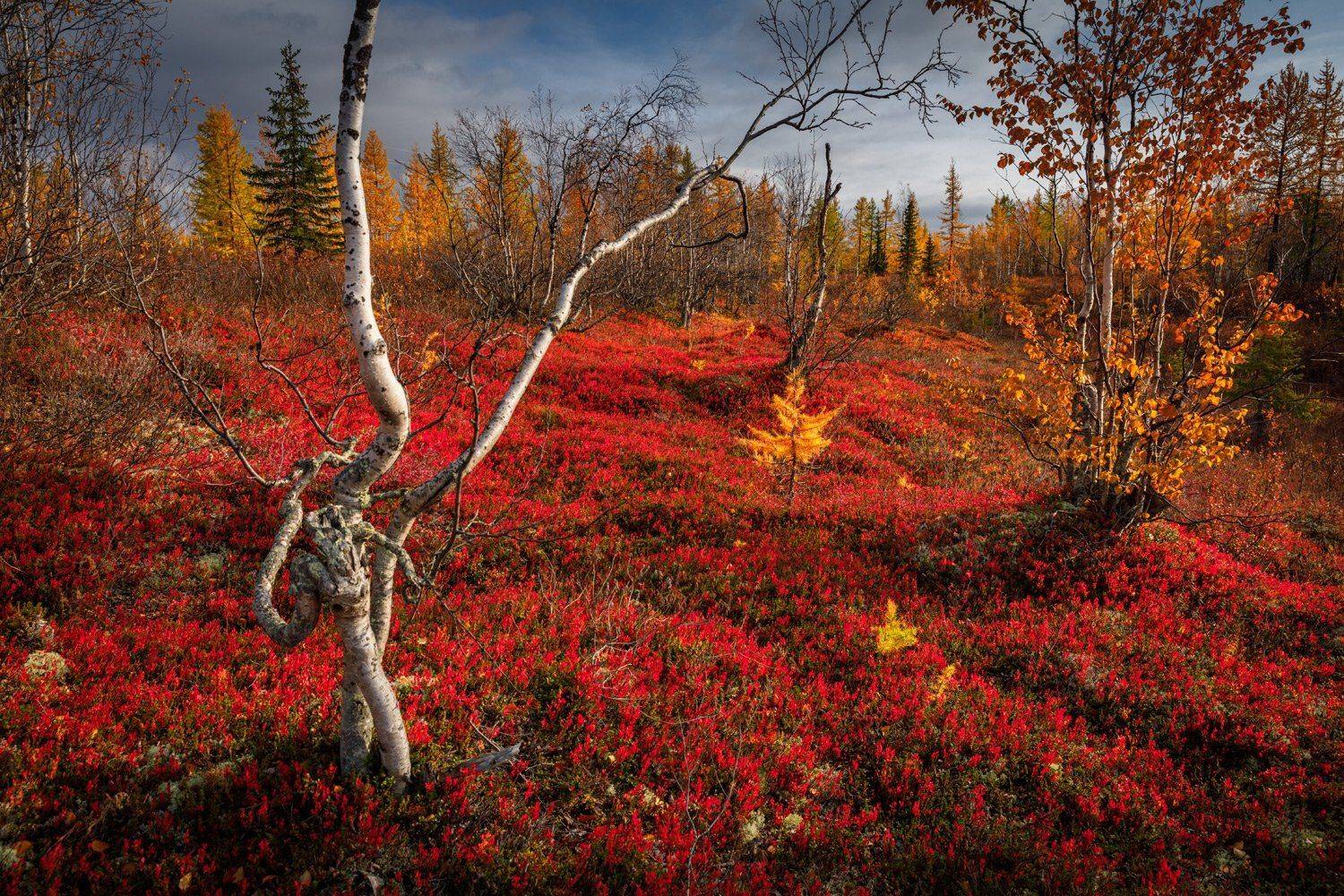 , Евгений Кужилев
