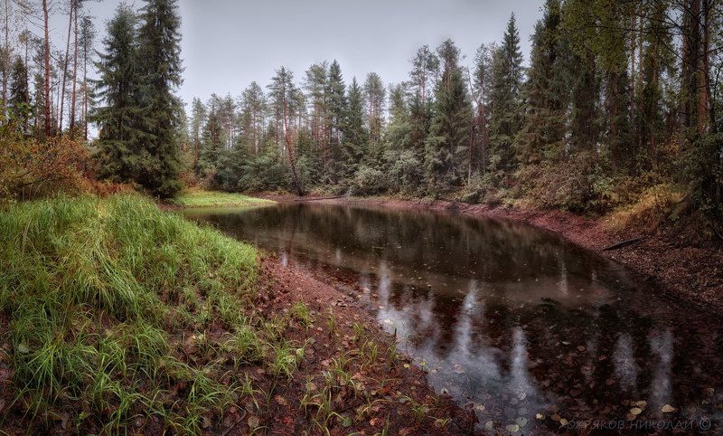 последняя зелень... фото превью
