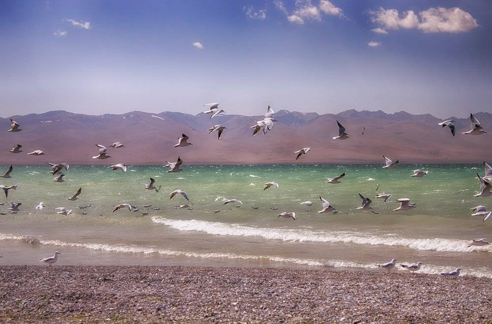 кыргызстан, горы, сон-куль, Элина Магалимова