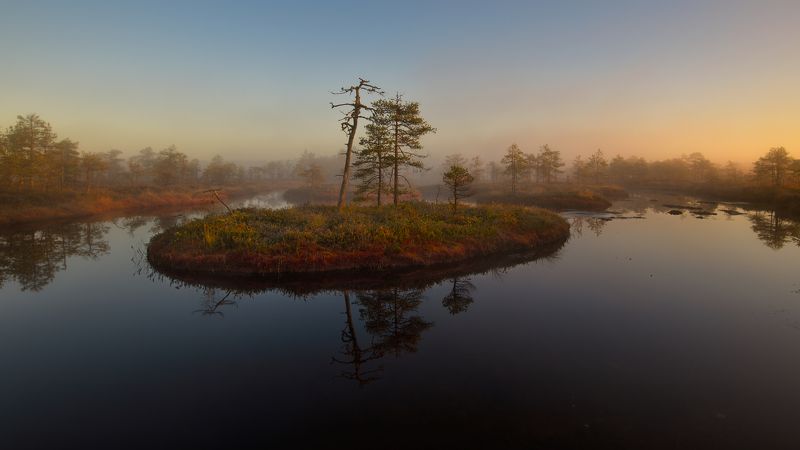 Nadra фото превью
