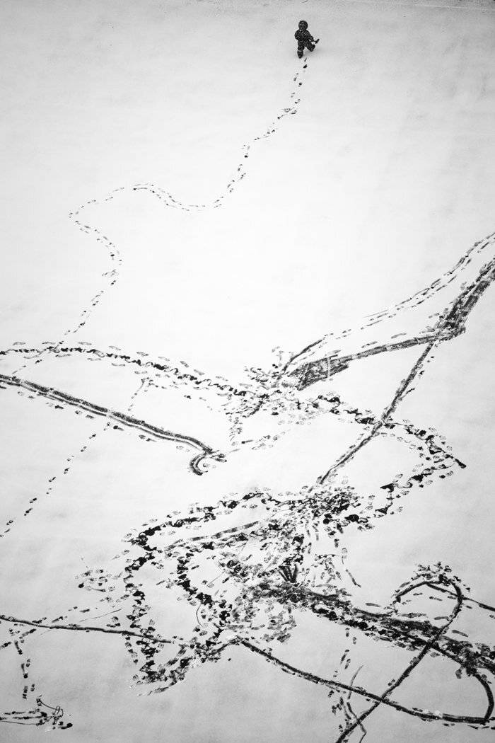 , Алексей Федотов