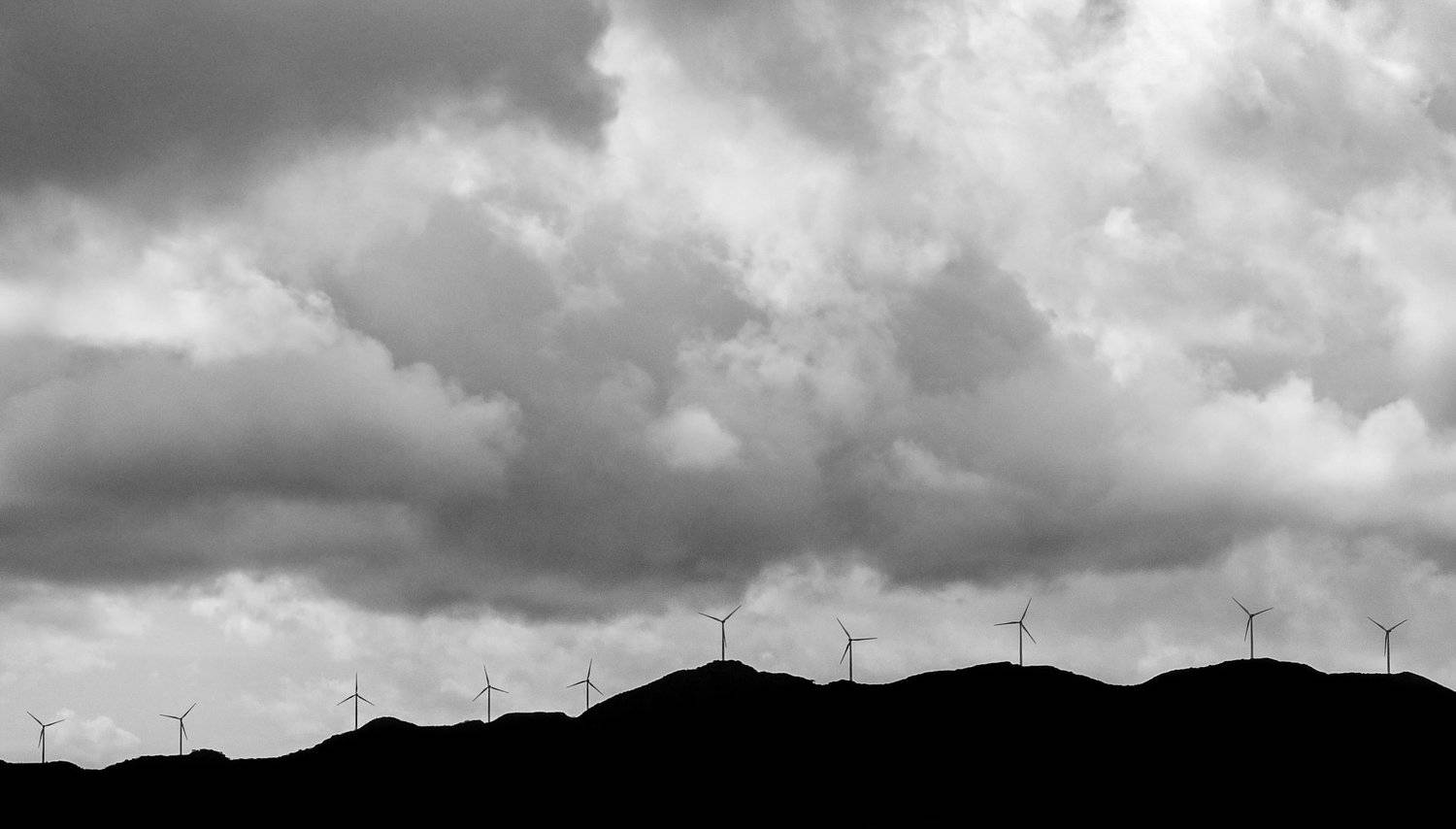 , Дмитрий Несветайлов