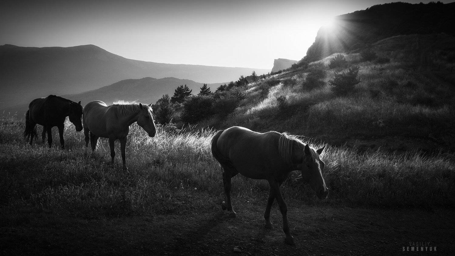 крым, горы, южная демерджи, лошади, скалы, лето, ч/б, закат, landscape, mountain, autumn,b/w., Семенюк Василий