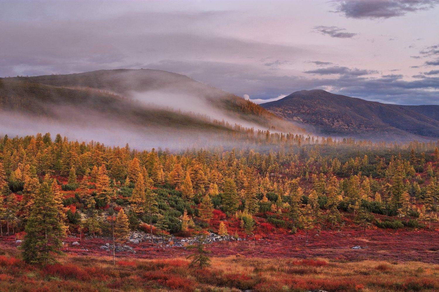 2018, россия, колыма, утро, краски, осень, горы, лиственницы, туман, тучи, деревья, Денис Лукьяненко