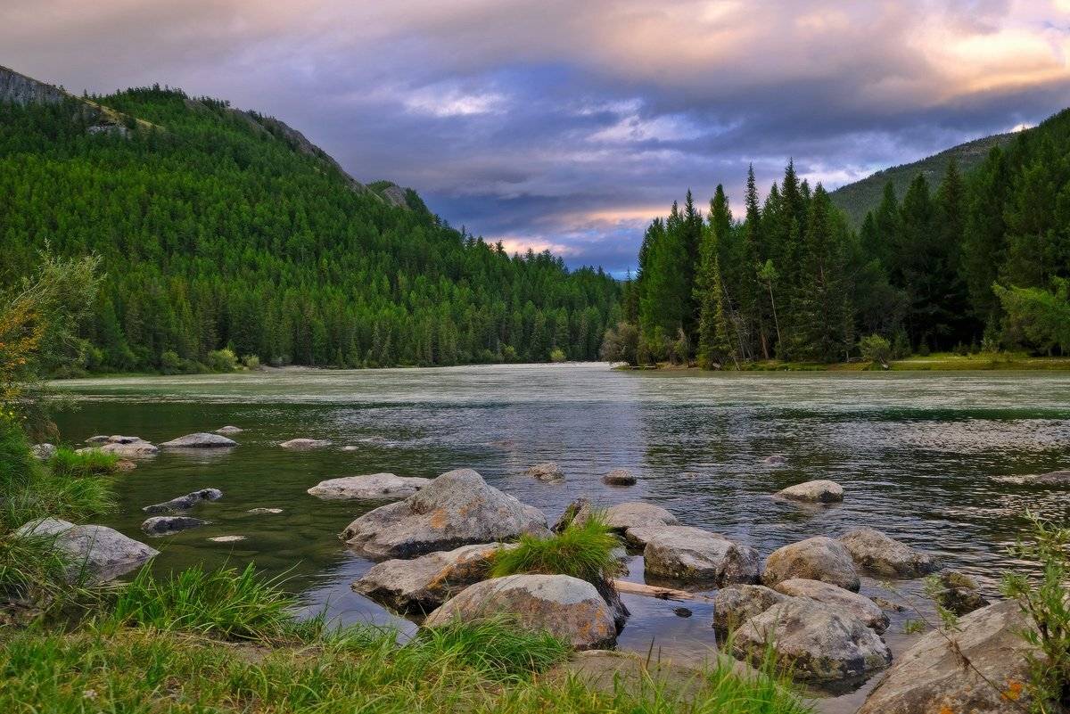 , Ольга Челдыкова