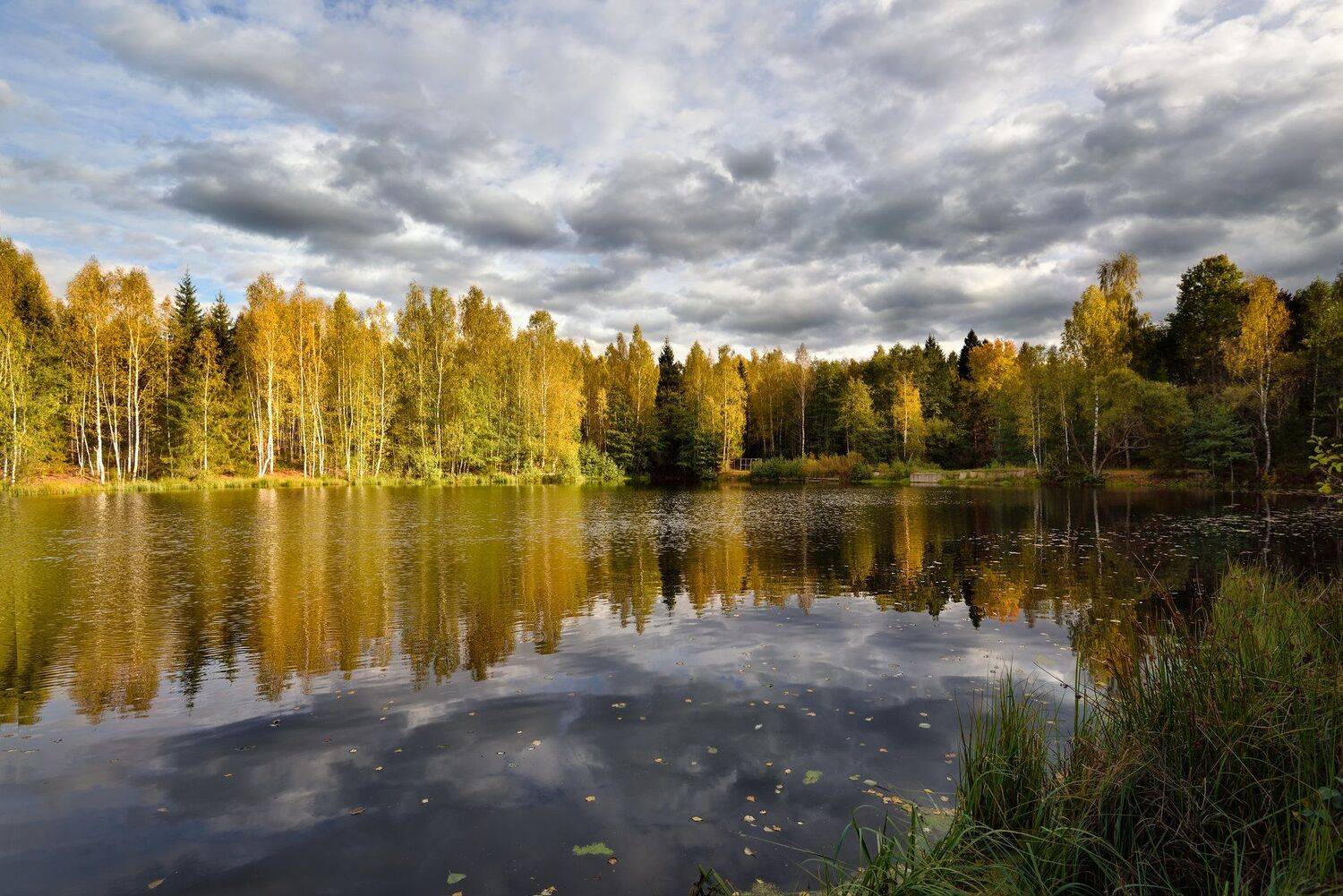 осень,река,деревья,краски,небо,облака, Виталий Полуэктов