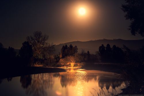 Лунное золото