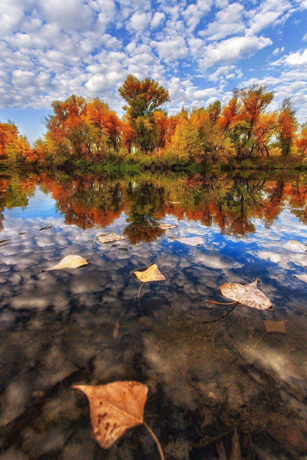 , Павел Сагайдак